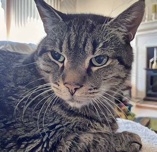 wordless wednesday brian 02 08282024