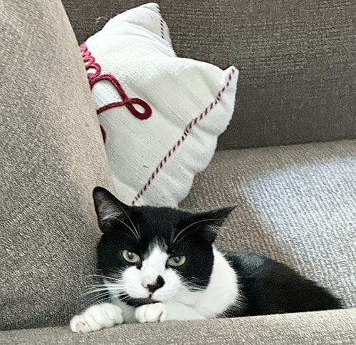 I got Mama's Chair!