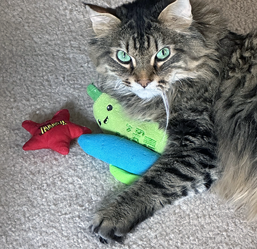 Hey Gabie and Giovanni, I got toys, wanna play?