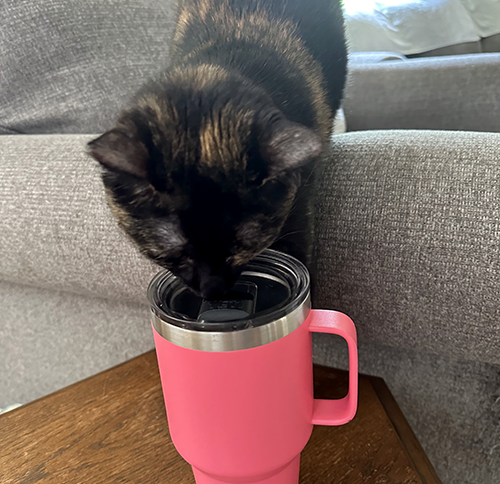 Hi Sierra, I'm thirsty!