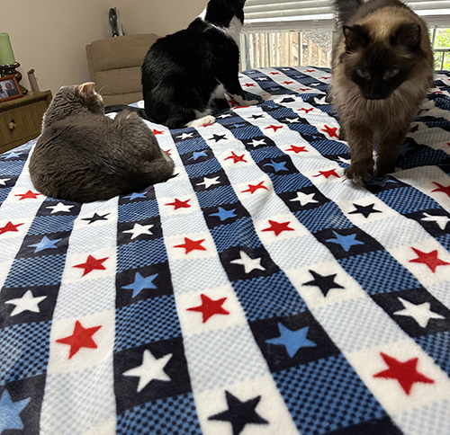 Come on Giovanni and Gabie, there is plenty of room!