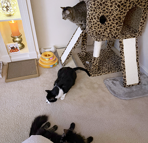 It's time to play!
